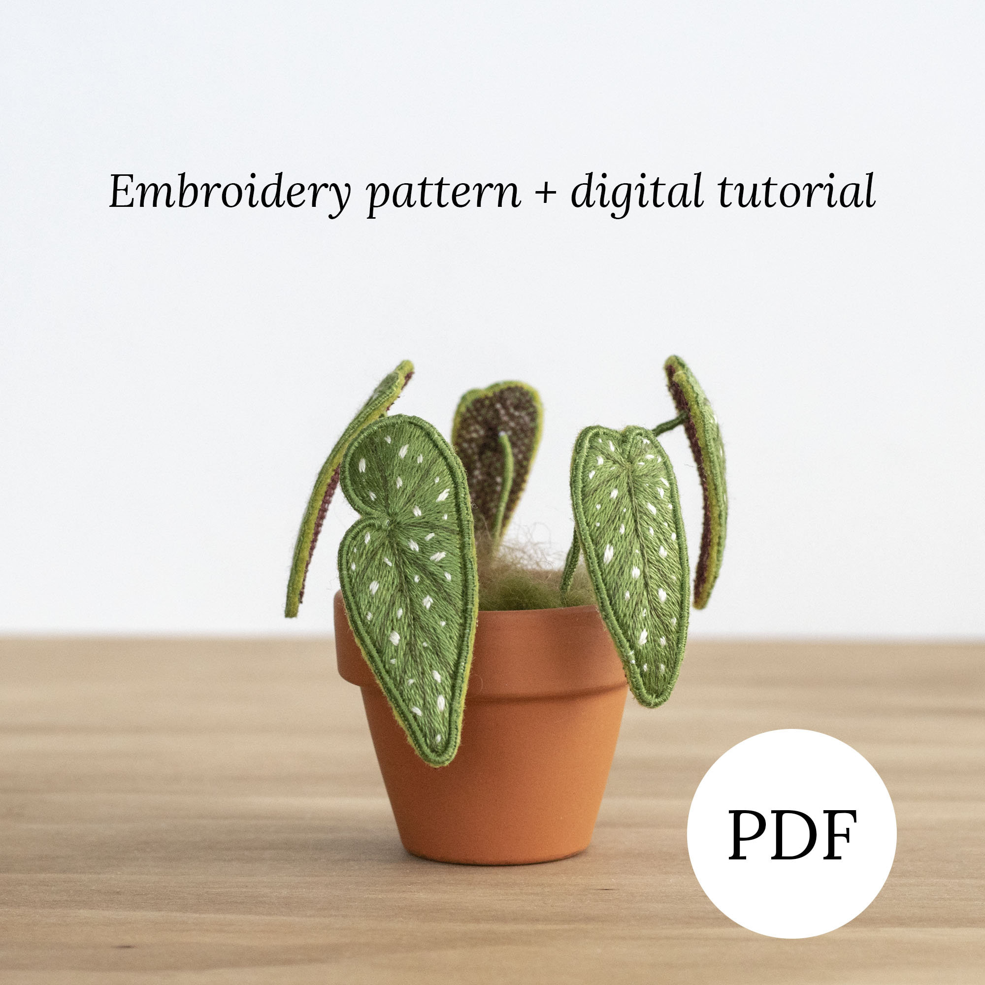 3D Begonia Maculata Stumpwork Pattern, Realistic Hand Embroidery Plant 3D Design, DIY Digital Tutorial for Home Decor