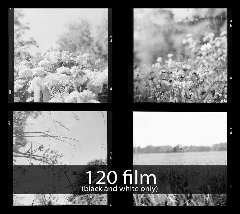 Black and White Film Processing W/ Medium Resolution Scans Etsy