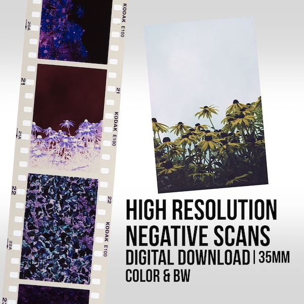 Negative Scanning | Film Scans | Scanning Only | Please See Our Other Listing to Develop Film | 35mm Film | 35mm Scans | Color & BW film