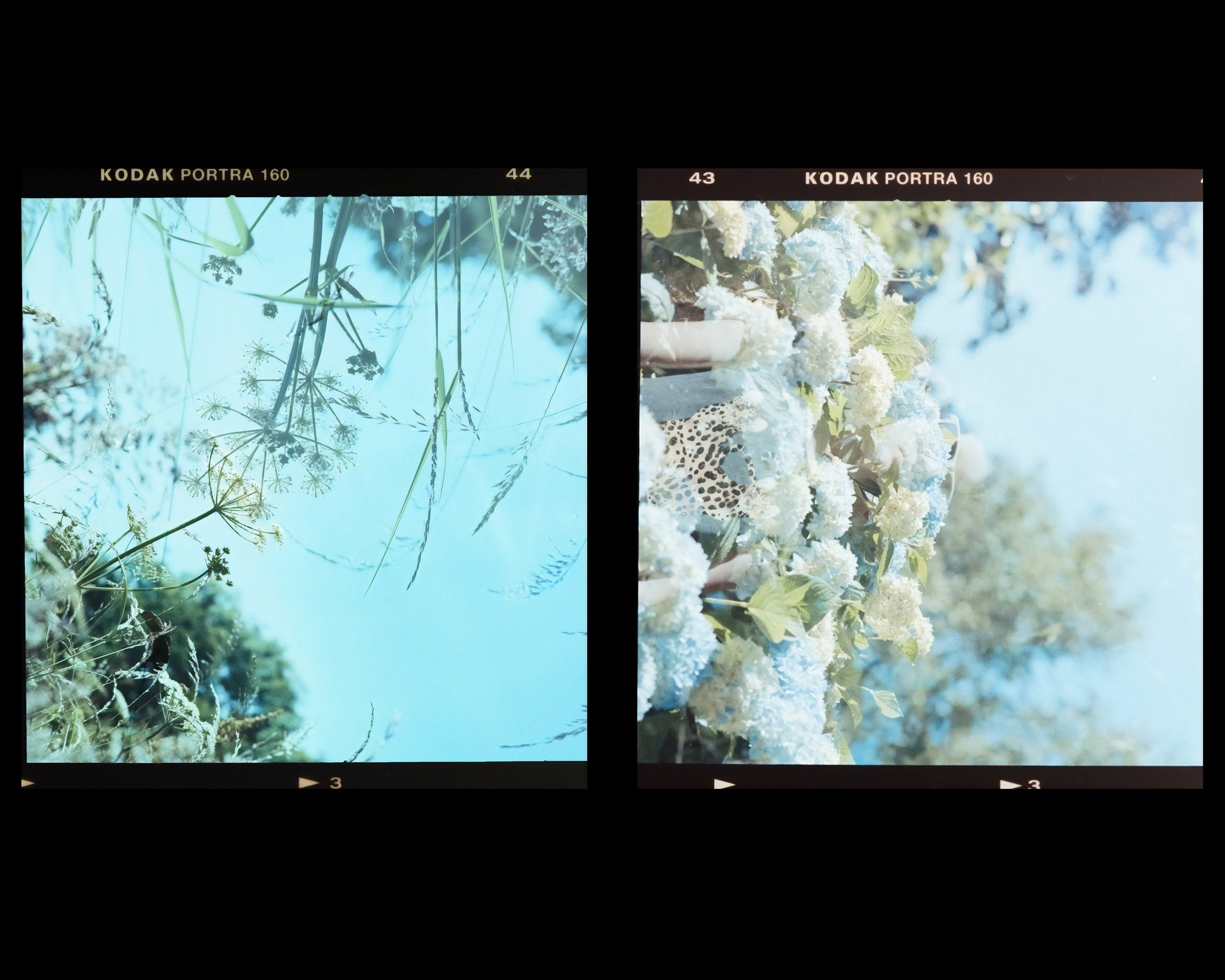 Negative Scanning | Film Scans | Scanning Only | Please See Our Other ...