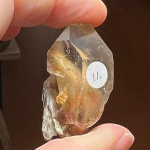 Small Amphibole Quartz