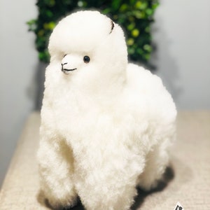 Op de afbeelding: Een zacht, wit alpaca-knuffel met een harige, getextureerde vacht. De alpaca heeft kleine, donkere ogen en een lachende mond. Het speelgoed staat op een neutraal gekleurd oppervlak. Het logo "Alpamowi" staat rechtsonder.