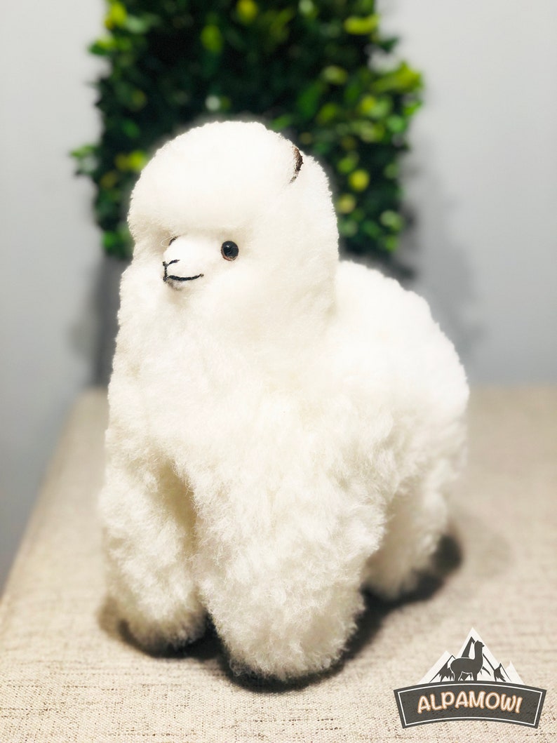 Op de afbeelding: Een zacht, wit alpaca-knuffel met een harige, getextureerde vacht. De alpaca heeft kleine, donkere ogen en een lachende mond. Het speelgoed staat op een neutraal gekleurd oppervlak. Het logo "Alpamowi" staat rechtsonder.
