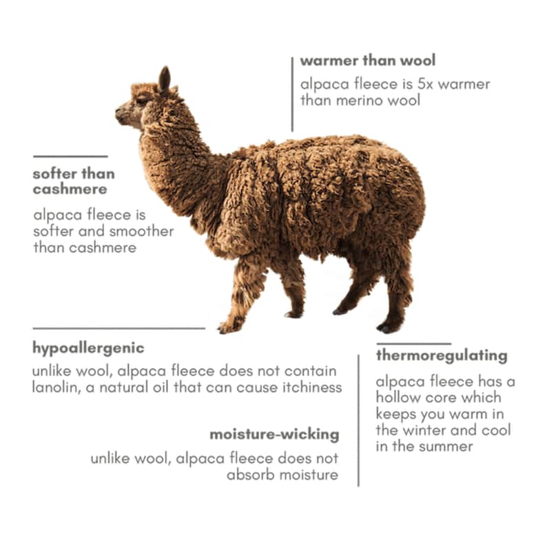 Op de afbeelding: Illustratie van een bruine alpaca met tekst die de eigenschappen benadrukt: zachter dan kasjmier, warmer dan wol, hypoallergeen, vochtafvoerend en thermoregulerend. De tekst stelt dat alpacawol 5x warmer is dan merinowol.