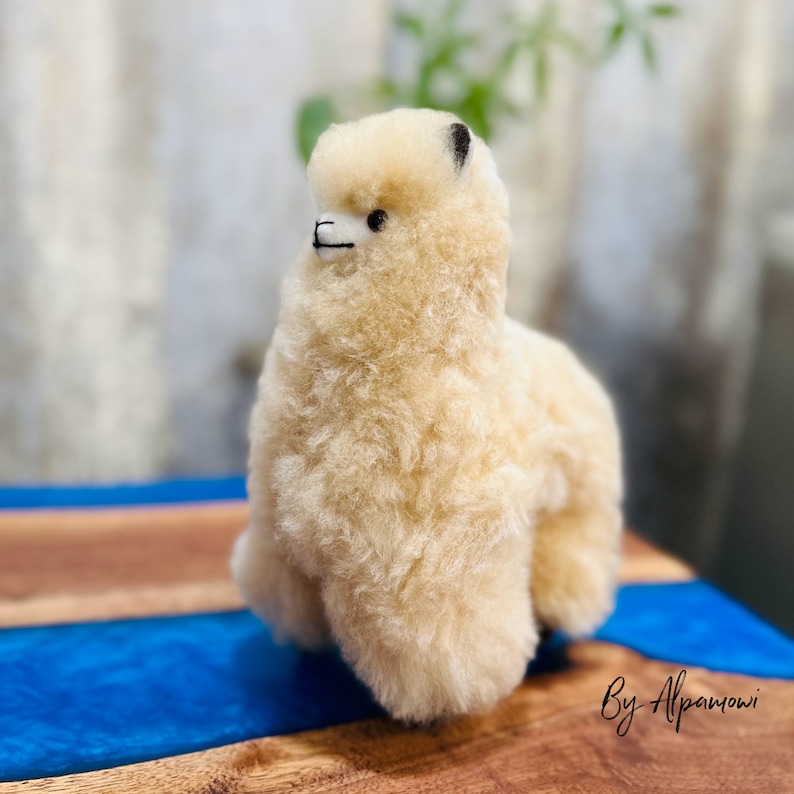 Op de afbeelding: Een cr&egrave;me-kleurige alpaca-knuffel met een pluizige, getextureerde vacht. De alpaca heeft zwarte ogen en een zwarte lijn voor een mond. Het beeldje staat op een houten oppervlak met een blauwe streep. De tekst "By AlpamoWI" staat rechtsonder.