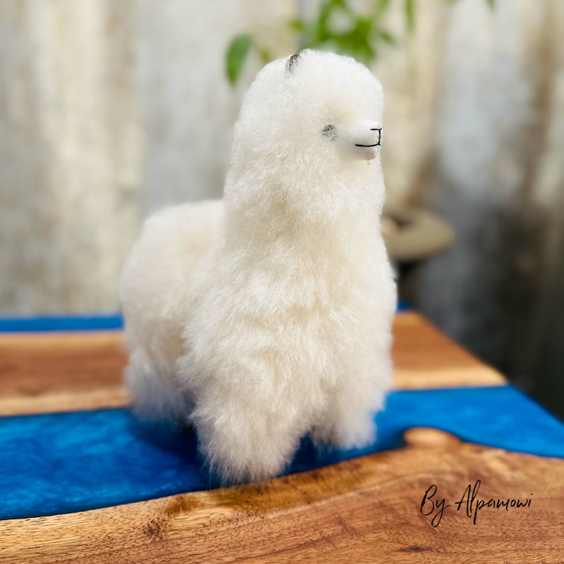 Op de afbeelding: Een zacht, cr&egrave;mekleurig alpaca-beeldje. De alpaca heeft een zacht, getextureerd uiterlijk met een kleine zwarte lijn op zijn hoofd en een zwarte lijn voor zijn mond. Het beeldje staat op een houten oppervlak met een blauwe streep.