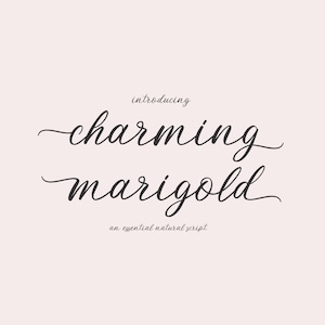 Script Font, Cursive Font, Invitation Font, Modern Script Font, Handwritten Script Font, Font for Cricut, Font with Tails, Wedding Font
