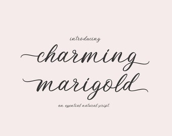 Script Font, Cursive Font, Invitation Font, Modern Script Font, Handwritten Script Font, Font for Cricut, Font with Tails, Wedding Font