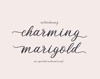 Cursive Font, Calligraphy Font, Cursive Script Font, Wedding Font, Cricut Font, Modern Font, Fonts For Cricut, Digital Font, Script Font