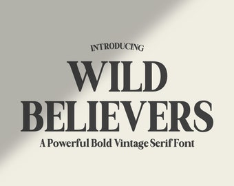 Retro Serif Schriftart, moderne Schriftart, Boho Schriftart, Branding Schriftart, Swash Schriftart, Schriftarten für Cricut, Canva Schriftart, Cricut Schriftart, Elegante Schriftart, Procreate Schriftart