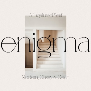 Font Serif, Font Moderno, Font Elegante, Font con Logo, Font Canva, Font Procreate, Font per Cricut, Font Digitale, Font Cricut, Font, Font Elegante
