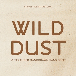 Sans Serif Font, Retro Font, Cricut Fonts, Procreate Font, Canva Fonts, Fun Font, Western Font, Display Font, Branding Font, Fun Font,