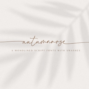 Hochzeitsschrift, Schreibschrift, Procreate Schrift, Schreibschrift, Canva Schrift, Cricut Schrift, Kalligraphie Schrift, Handschrift Schrift, Schrift mit Schwänzen