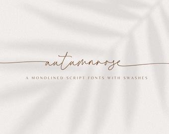 Wedding Font, Script Font, Procreate Font, Cursive Font, Canva Font, Cricut Font, Calligraphy Font, Handwriting Font, Font With Tails