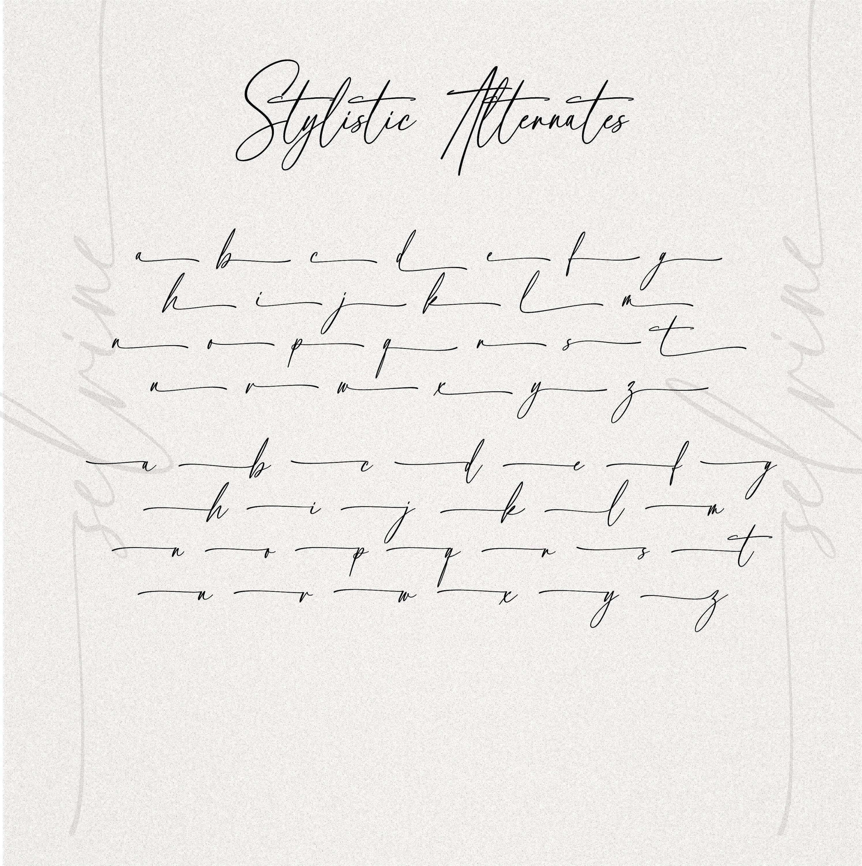 Cursive Font, Calligraphy Font, Cursive Script Font, Wedding Font ...