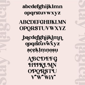 Modern Serif Font, Branding Font, Logo Font, Boho Font, Canva Font, Procreate Font, Fonts for Cricut, Digital Font, Cricut Fonts, Logo Font image 9