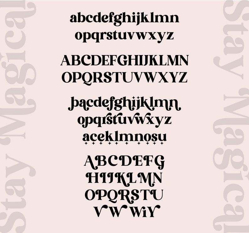 Modern Serif Font, Branding Font, Logo Font, Boho Font, Canva Font, Procreate Font, Fonts for Cricut, Digital Font, Cricut Fonts, Logo Font image 9