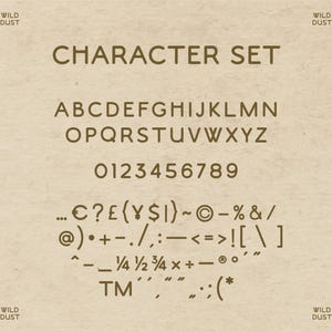 Sans Serif Font, Retro Font, Cricut Fonts, Procreate Font, Canva Fonts, Fun Font, Western Font, Display Font, Branding Font, Fun Font,