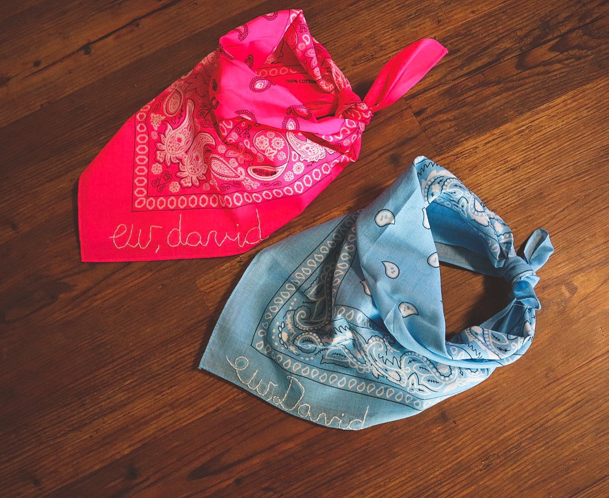 Ew David Bandana Hand Embroidered Bandana Schitt's Etsy
