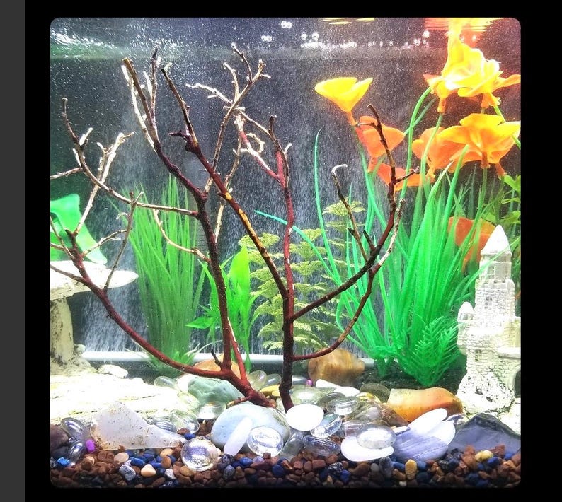 Op de afbeelding: Een aquarium met een wit kasteelvormig decor, groene en bruine planten en witte en heldere kiezelsteentjes op de bodem. De tank is gevuld met water en er zijn wat oranje en gele bloemen op de achtergrond.