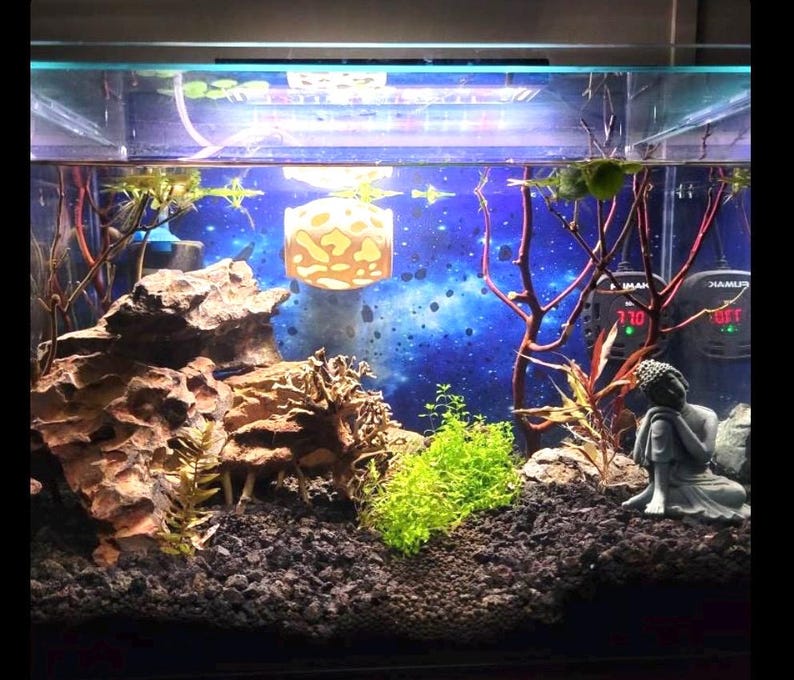 Op de afbeelding: Een zoetwateraquarium met een blauwe en witte galaxie achtergrond. De tank heeft een grote rotsformatie, een decoratief Boeddhabeeld en een verscheidenheid aan planten. De tank heeft ook een verwarming en een filter.