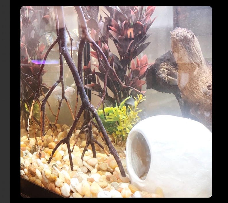 Op de afbeelding: Een witte keramische aquariumgrot met een grote opening. De grot is omgeven door kleine, witte kiezelsteentjes en verschillende kunstplanten, waaronder een donkerrode plant en een groene plant.