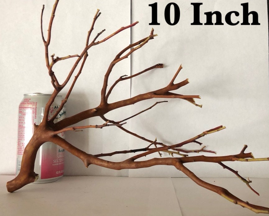 Natural Aquarium Manzanita Trees Real Wood for Fish Tank Pond Etsy