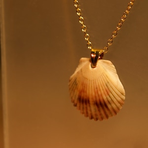 scallop shell necklace
