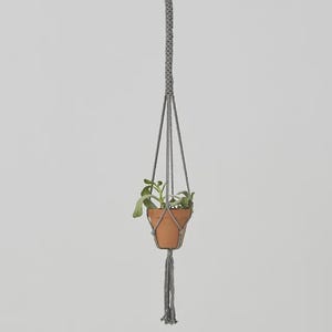 Puede incluir: Un colgador de plantas de macramé gris, que sostiene una pequeña maceta de terracota con una planta verde. El diseño de macramé presenta una parte superior trenzada, cuerdas anudadas y una borla. La maceta tiene unos 10 cm de diámetro.