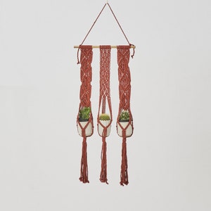 Leon Macrame Plant Holder