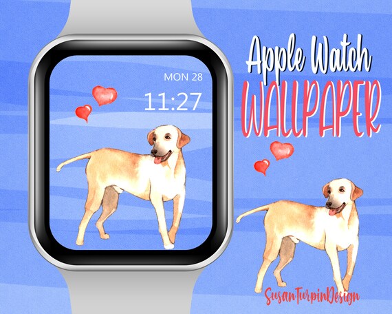 Labrador Retriever Apple Watch Face Wallpaper Yellow Lab Dog
