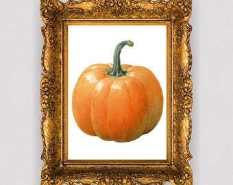 Calabaza en acuarela: Arte minimalista de la cosecha otoñal (descarga digital)