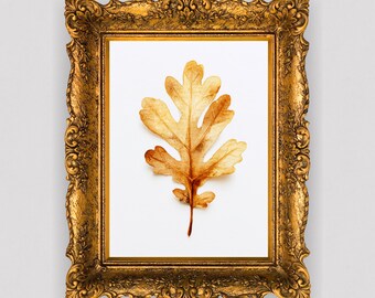 Hoja de Roble Dorada – Impresión minimalista de acuarela otoñal (Descarga digital)