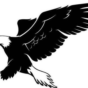 Może przedstawiać: Czarno-biała sylwetka orła bielikowego w locie z rozpostartymi skrzydłami. Orzeł patrzy w lewo i ma rozpostarte szpony.