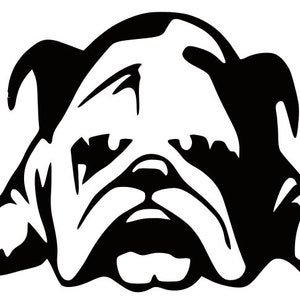 bulldog mascot svg, bulldogs svg, dogs svg, bulldog clipart