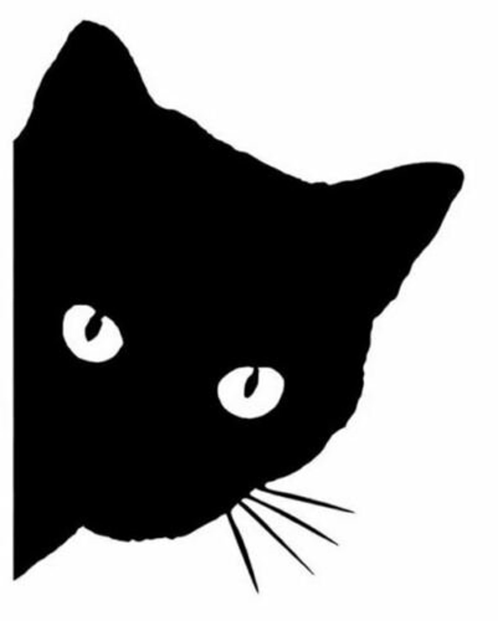 Морда черного кота рисунок