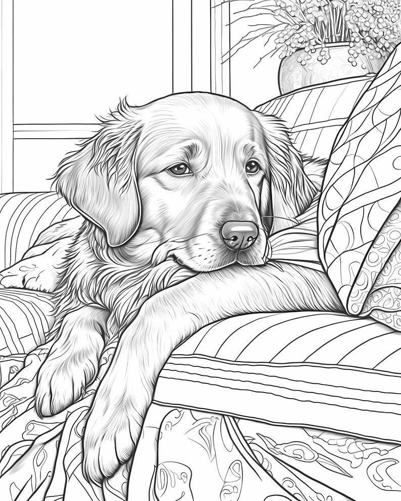 Golden Retriever Coloring Book: 37 Designs for Kids, Adults, and Dog