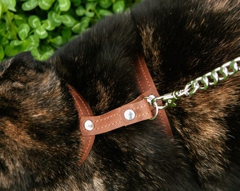 Cat harness and leash,Leather cat harness,Leather pet harness,Cat leash and harness,Kitten harness and leash,Cat accessories