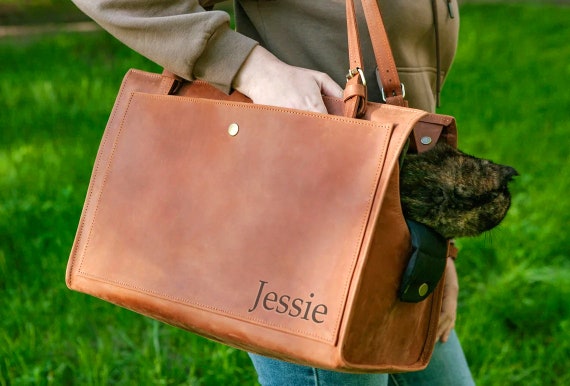Cat carrier purse discount