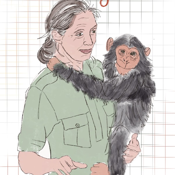 Jane Goodall feminist art. Women in science postcard, woman scientist portrait, STEM inspiration card, feminist art, zoologist role model