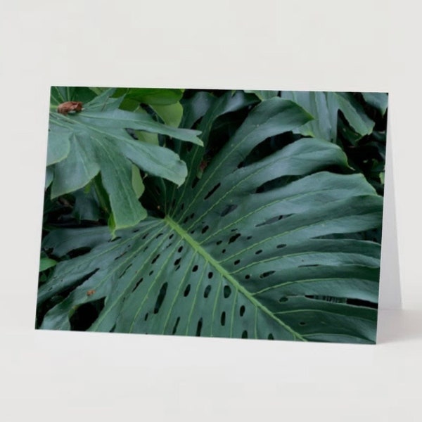 Folded Greeting Card of Singapore Monstera photography DIGITAL DOWNLOAD Southeast Asia print by Megan Virona Photography