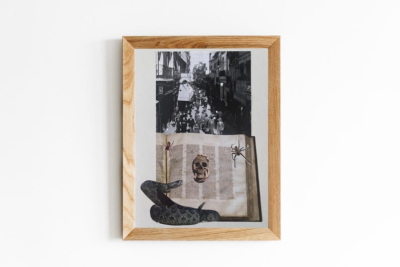 May include: Framed artwork featuring a collage of a black and white street scene, an open book with a skull, spiders, and a snake. The frame is made of light-colored wood, and the artwork is mounted on a white background.