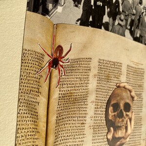 May include: A vintage-style collage featuring a detailed illustration of a red and black spider on an open book with ancient Greek text. A human skull is held in the lower right corner, with a black and white photo of people in the background.