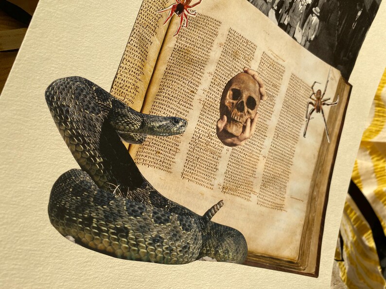 May include: An artistic collage featuring a coiled snake, a human skull, and two spiders against the backdrop of an aged book. The snake is dark gray with a textured pattern. The skull is held in a hand.