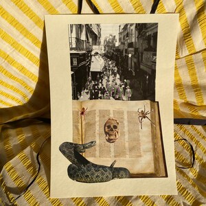 May include: A mixed media artwork featuring a black and white street scene collage above an open book with a skull and spiders. A snake is positioned at the bottom. The artwork is on a cream-colored paper.