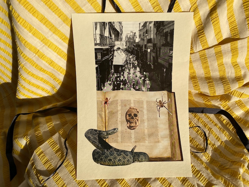 May include: A mixed media artwork featuring a black and white street scene collage above an open book with a skull and spiders. A snake is positioned at the bottom. The artwork is on a cream-colored paper.