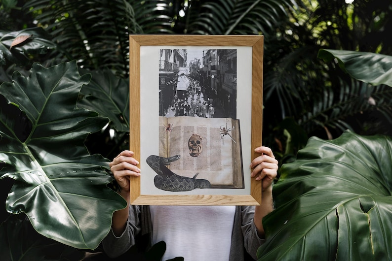 May include: A framed artwork featuring a black and white street scene and a collage of a skull, snake, and spiders over an open book. The artwork is held in front of a lush green foliage background.