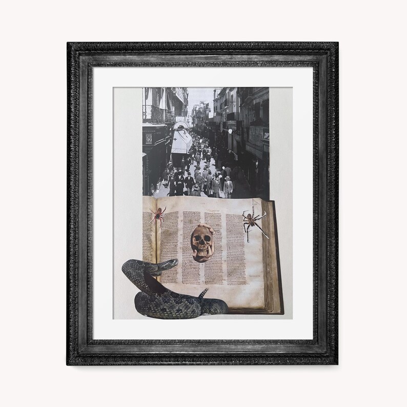May include: Framed artwork featuring a black and white street scene above an open book with a skull and spiders. A coiled snake is at the bottom. The frame is black.