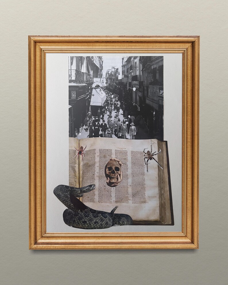 May include: A framed artwork featuring a black and white street scene above an open book with a skull, spiders, and a snake. The frame is gold-colored, and the artwork has a vintage, collage-like aesthetic.
