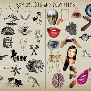 May include: Black and white illustrations of objects and body parts, including a skeleton, a tooth, a bee, a peacock feather, a musical instrument, a syringe, a snowflake, a dinosaur, a skull, a heart, an eye, a mouth, a brain, a camera, glasses, and a pair of legs.